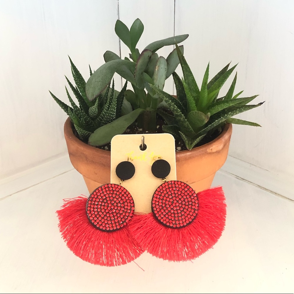 Black And Red Fringe Earrings